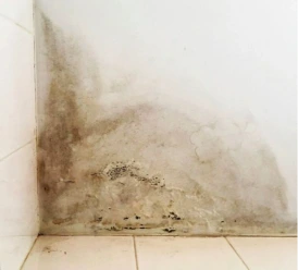 Water damage restoration Gainesville Florida